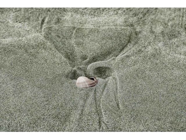 Interdiction pêche recreative plage de Kerleven 